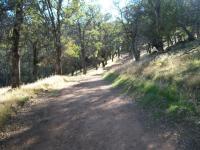 Morgan Territory 