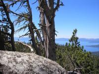 Diamond Peak Loop 