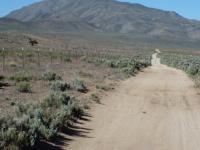 Bedell Flat 