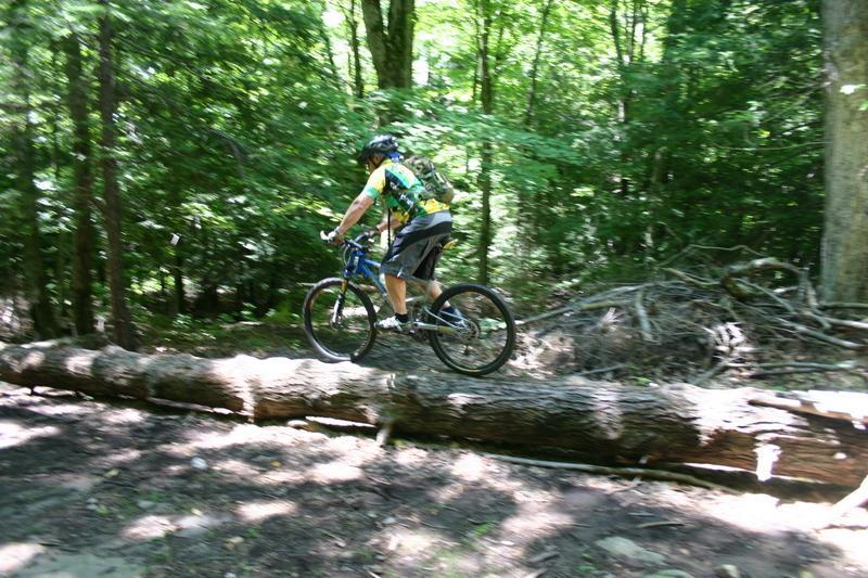 Pequonnock River Valley State Park / Trumbull photo