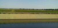Folsom South Canal 