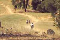 Cronan Ranch East Ridge Trail 