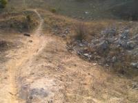 Lime Ridge 
