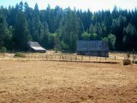 North Bloomfield 