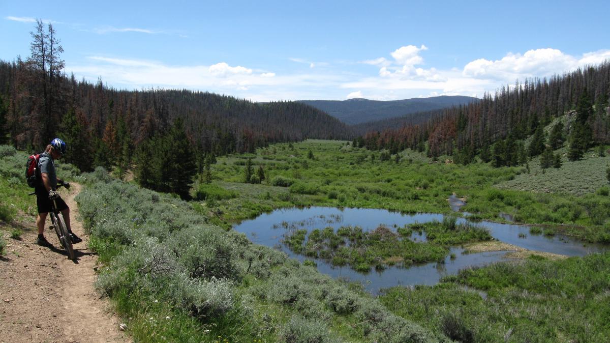 Troublesome Creek photo