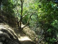 Camp Tamarancho 