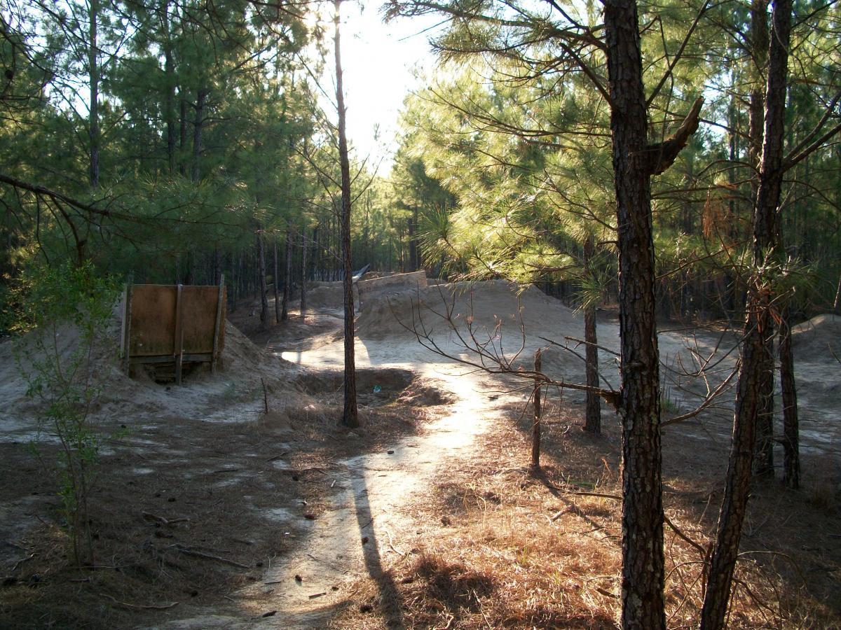 Gainesville Dirt Jumps photo