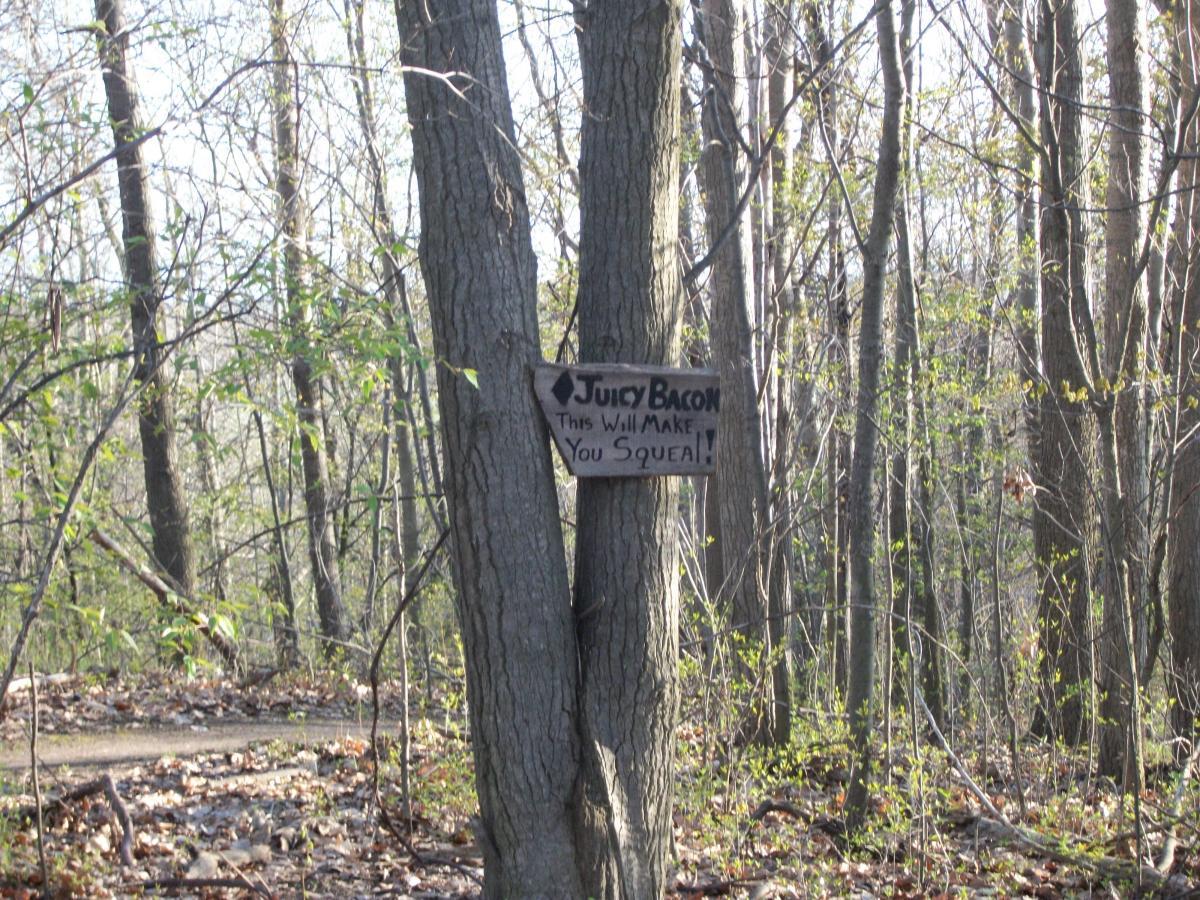 Dryer Road Park photo