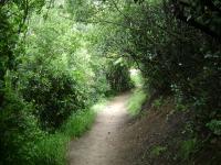 Echo Mountain Loop 