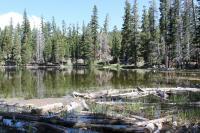 Tahoe Rim Trail: Tahoe City to Brockaway Summit 