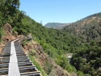 Paradise Flumes 