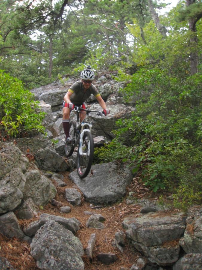 North Fork Mountain Trail photo