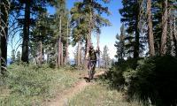 Tahoe Rim Trail: Spooner Summit to Kingsbury Grade 