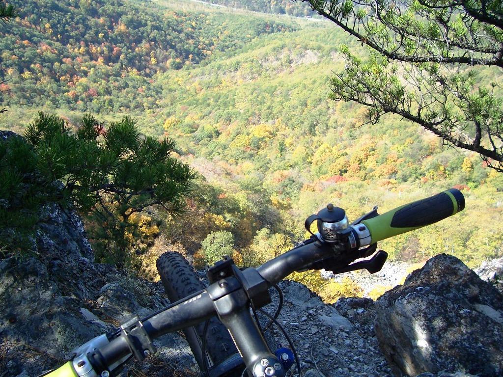 North Fork Mountain Trail photo