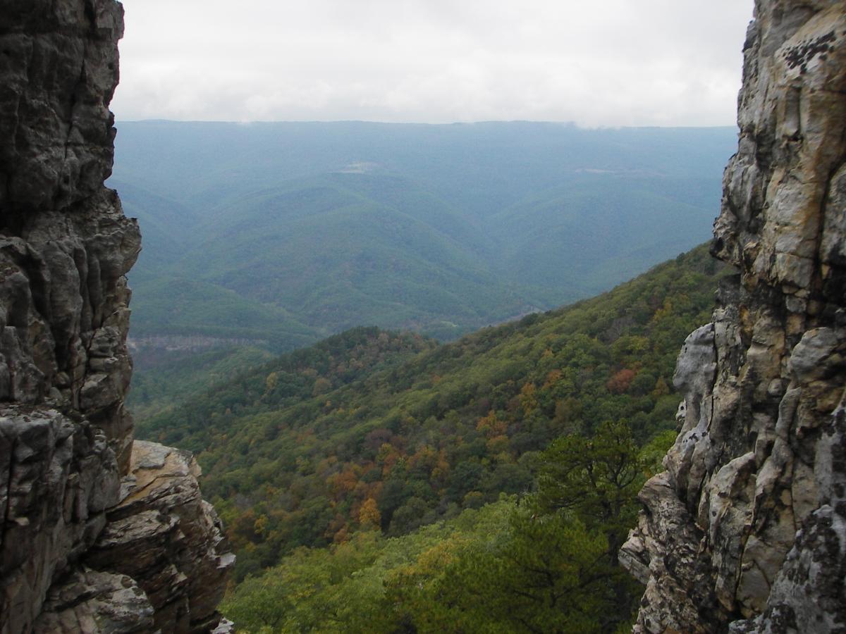North Fork Mountain Trail photo