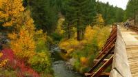 Bizz Johnson Trail 