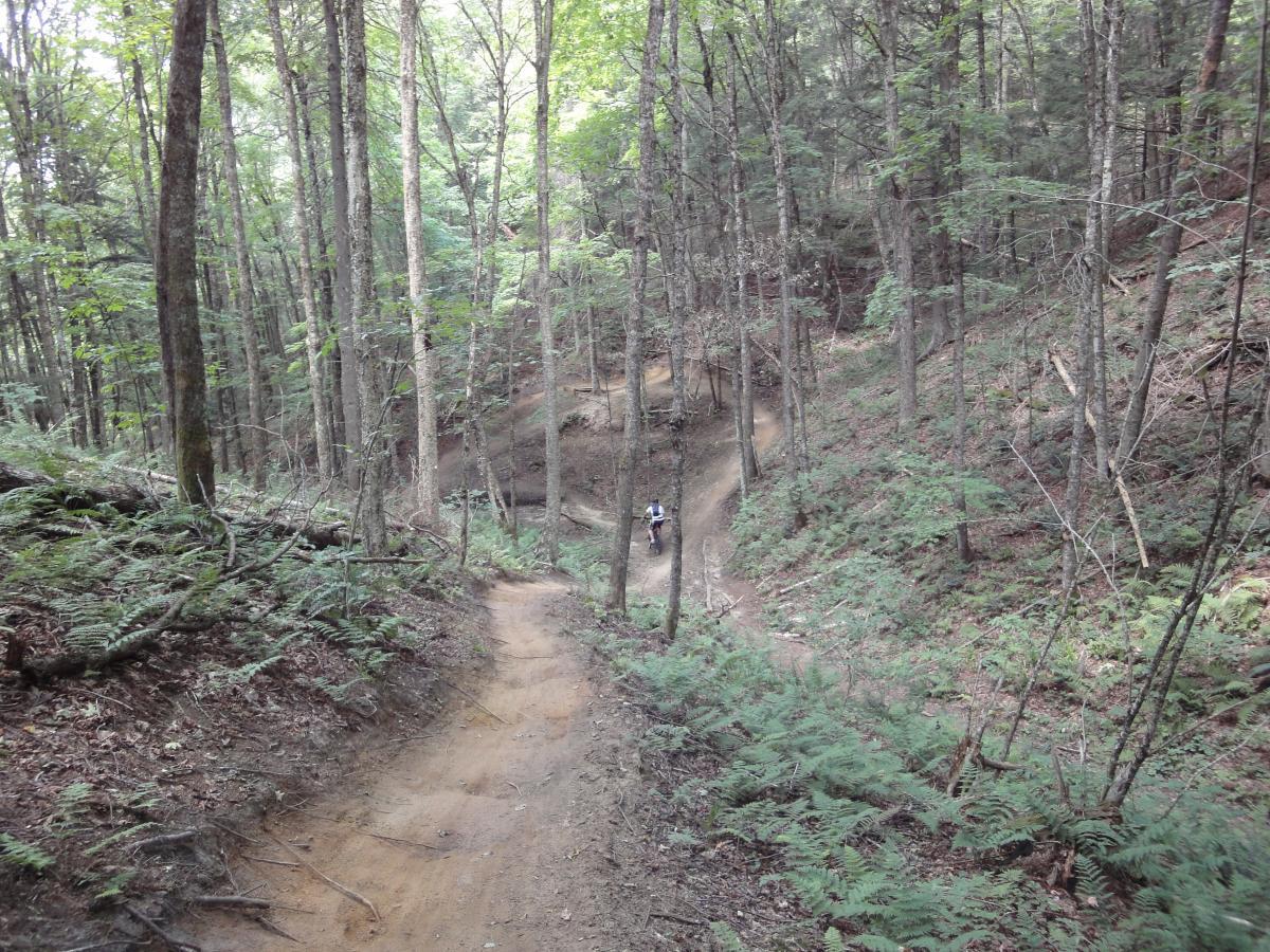 Kingdom Trails photo SINGLETRACKS COM - DSC01263 0 Orig 