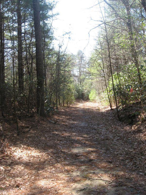 Rock Quarry Road photo