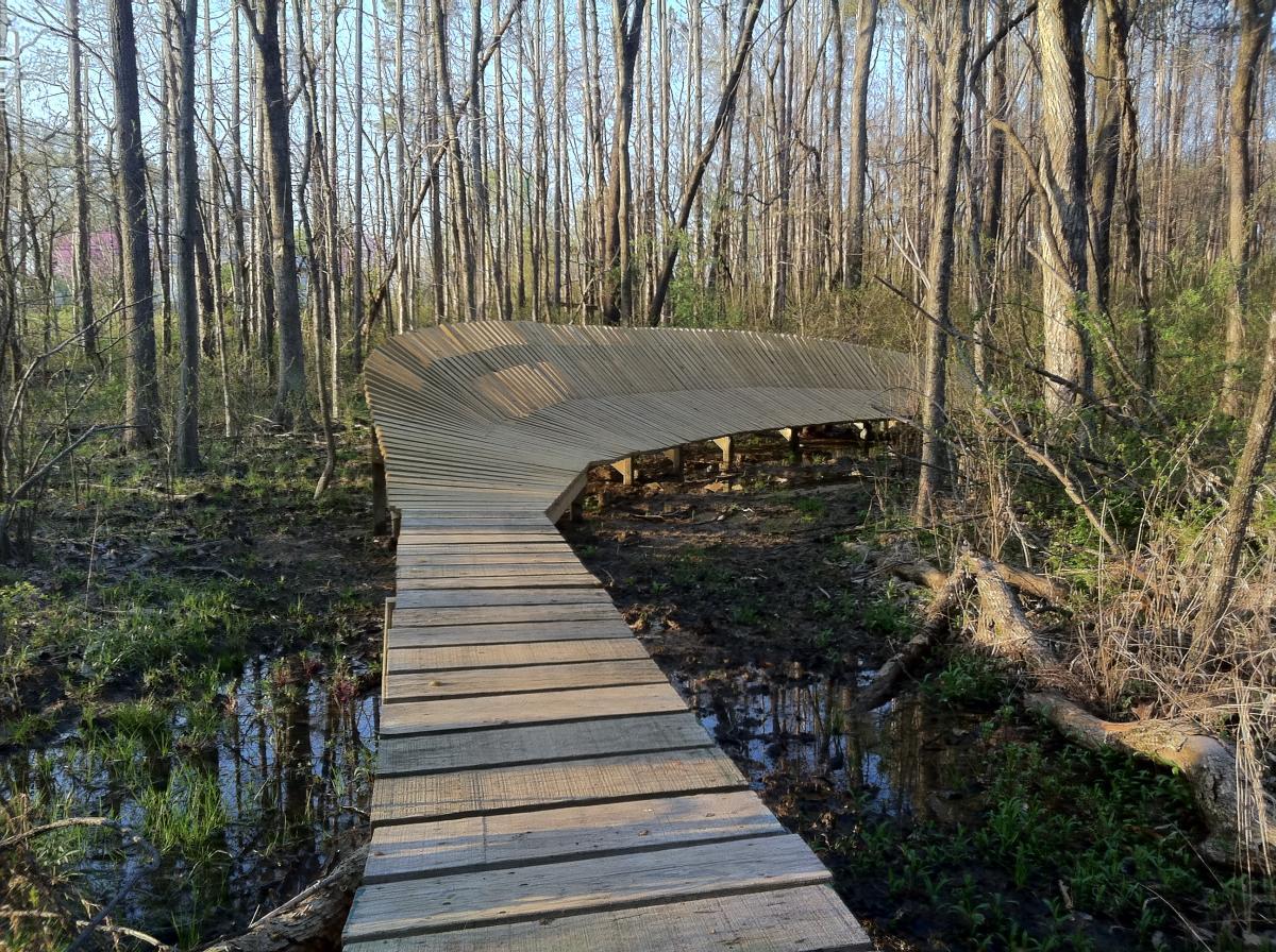 Scales Lake Park Trails photo