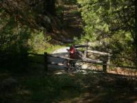 Hume Lake Trail 