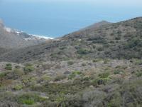 Sycamore Canyon/Guadalasca/Overlook Loop 