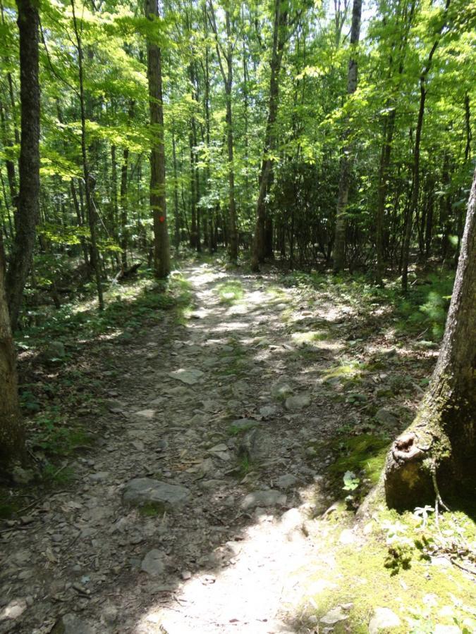 Pandapas Pond / Poverty Creek photo