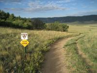 Greenland Open Space 
