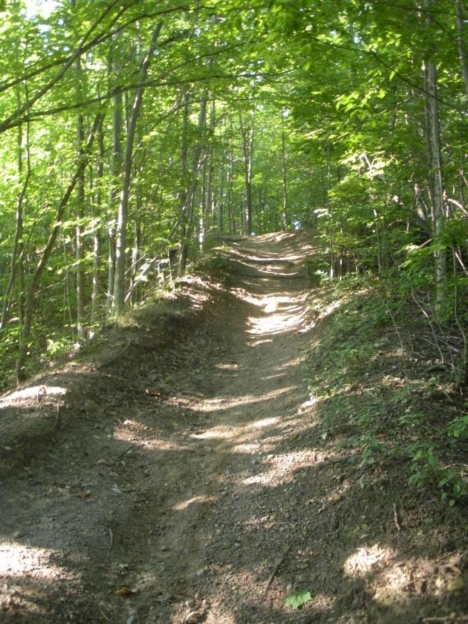 Ruby Trail (ruby Campground) Mountain Bike Trail in Port Huron