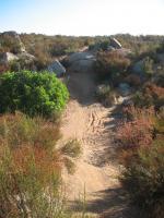 Anderson Truck Trail 