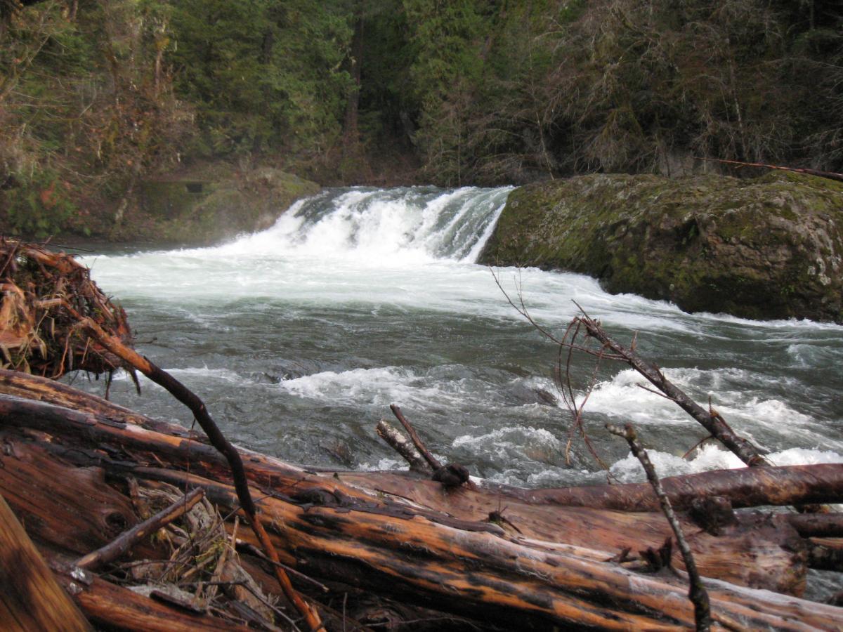 Salmon Creek Trail photo