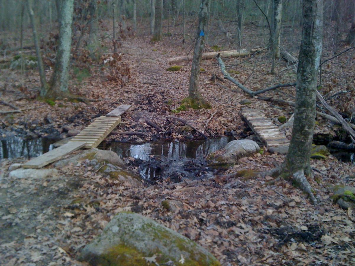 Upton State Forest photo