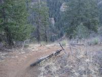 Spring Creek 