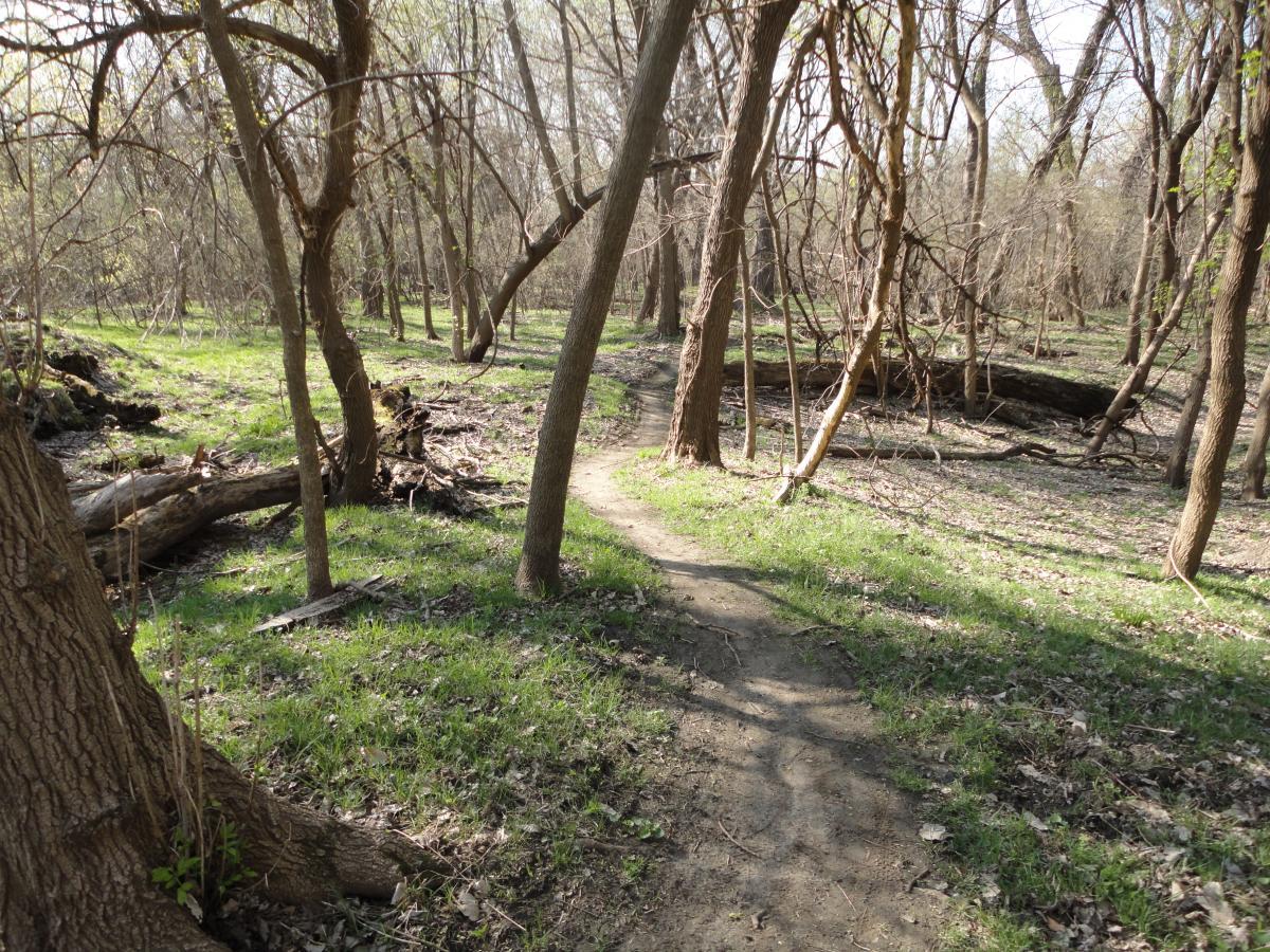 Sycamore Trail photo