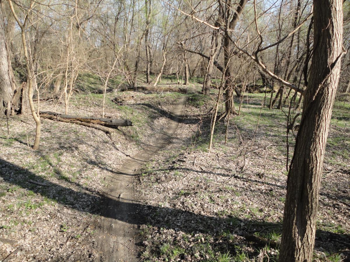 Sycamore Trail photo