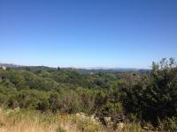 Redwood Regional Park 