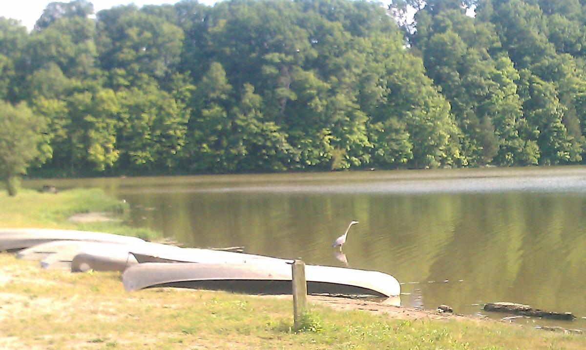 Versailles State Park photo