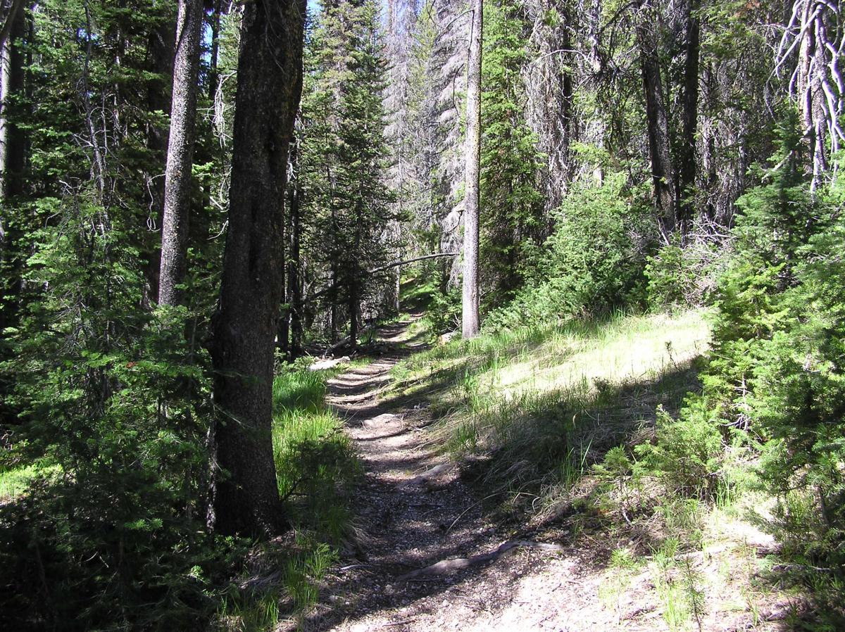 Trap Creek Swamp Creek Loop photo