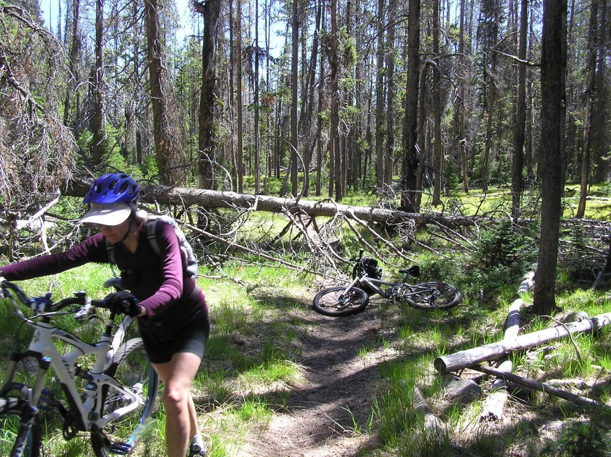 Trap Creek Swamp Creek Loop photo