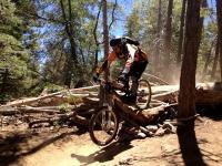 Upper Fall Line And Lower Fall Line 