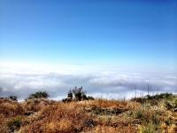 Upper Santa Anita Canyon Road 