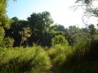 Ripon Riding Spot 