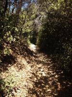 Upper Winter Creek 