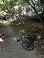 Lower Winter Creek 