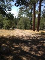 Pine Knot Trail 