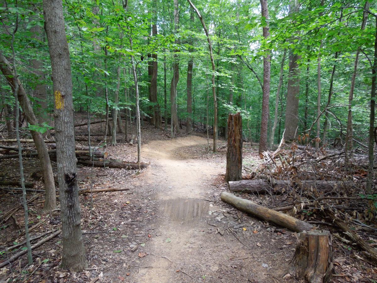 Fountainhead Regional Park photo