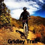 Gridley 