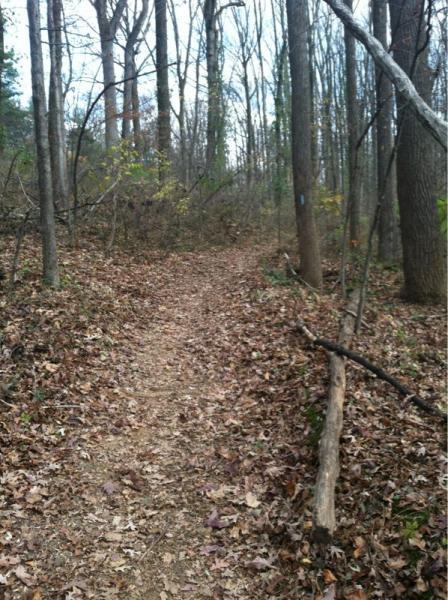 Cabin John Trail Photo Singletracks Com