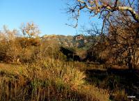 Point Mugu State Park 