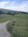 Mission Peak 