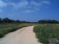 Fairview Park 